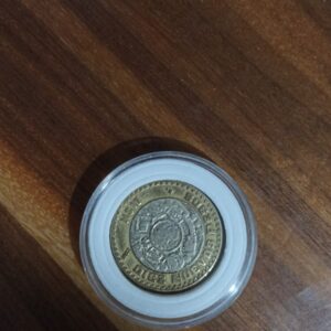 MONEDA DE COLECCION DIEZ NUEVOS PESOS DE COBRE AÑO 1993