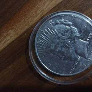 MONEDA DE COLECCION ONE DOLLAR DE PLATA PEACE LIBERTY AÑO 1935